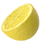 Lemon slice