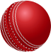 Cricket ball