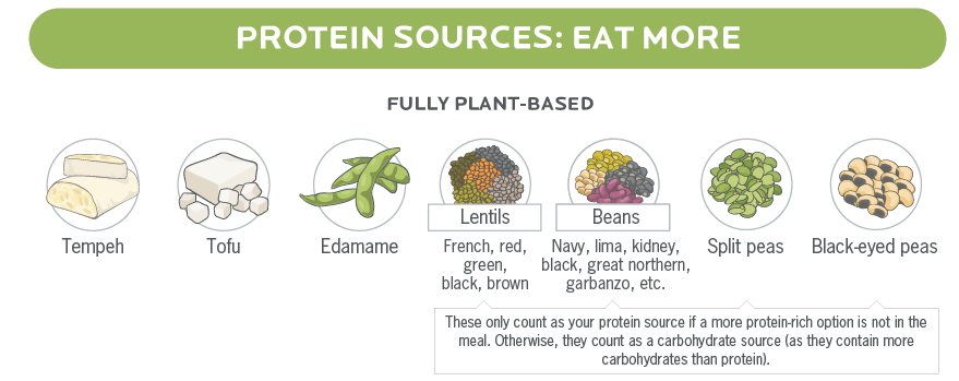 Sources of protein in plant-based ingredients