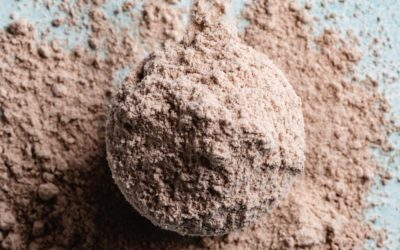 How to Choose the Right Plant Protein Powder for You?