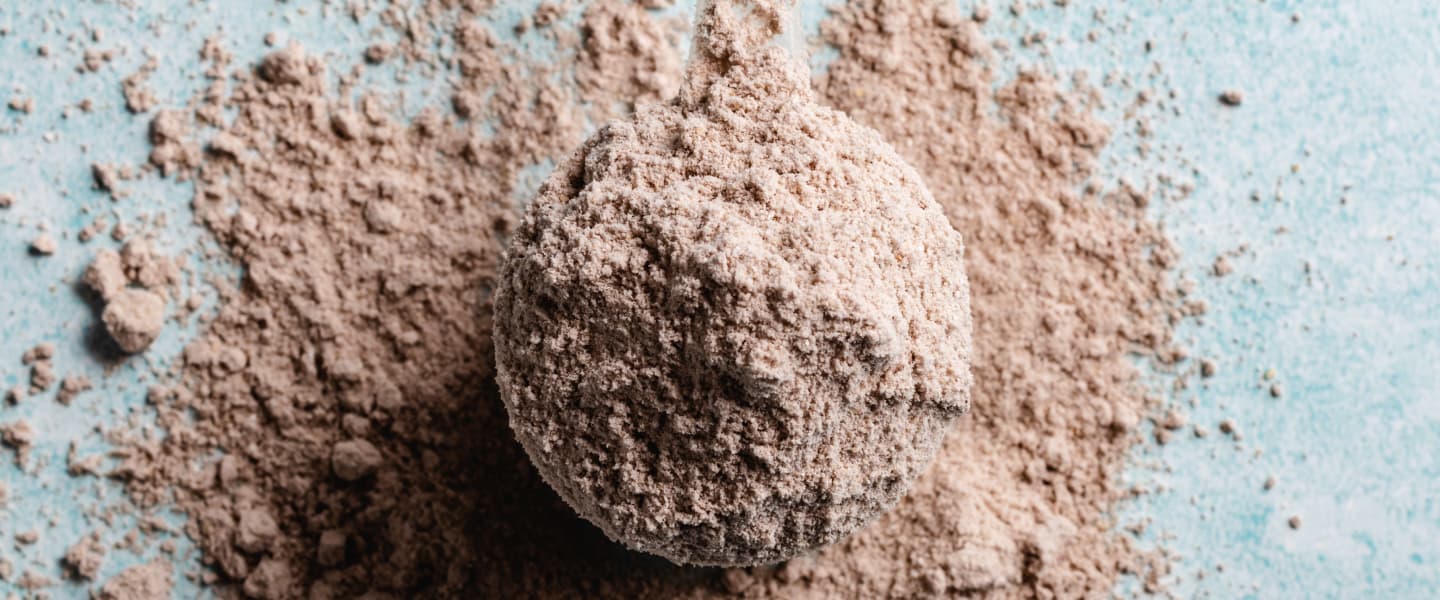 plant based protein powder