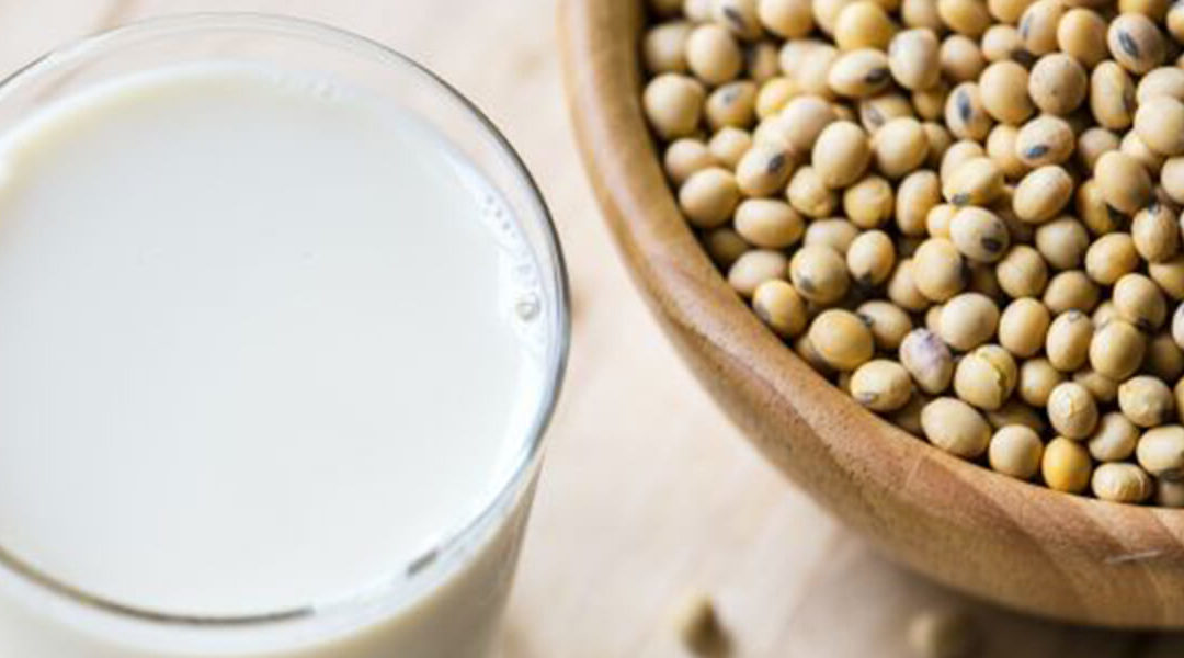 Top 5 Non-soy Vegan Protein Source For Soy Allergic