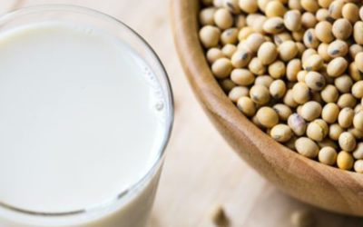 Top 5 Non-soy Vegan Protein Source For Soy Allergic